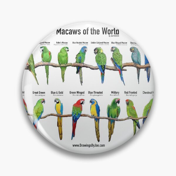 Item preview, Macaws of the World designed and sold by Joe Richichi.