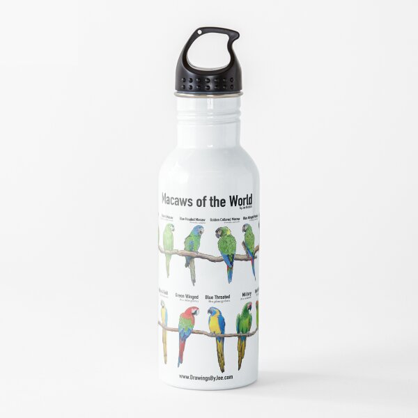 Macaws of the World Water Bottle