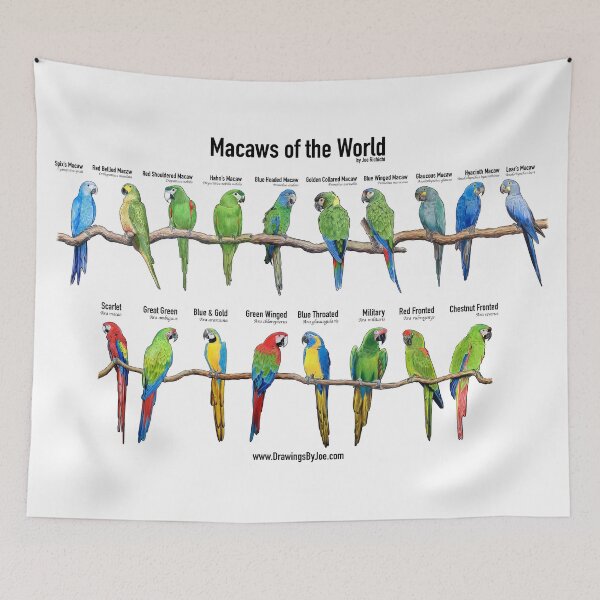 Item preview, Macaws of the World designed and sold by Joe Richichi.