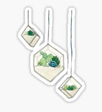 Hängende Sukkulenten Eins Sticker
