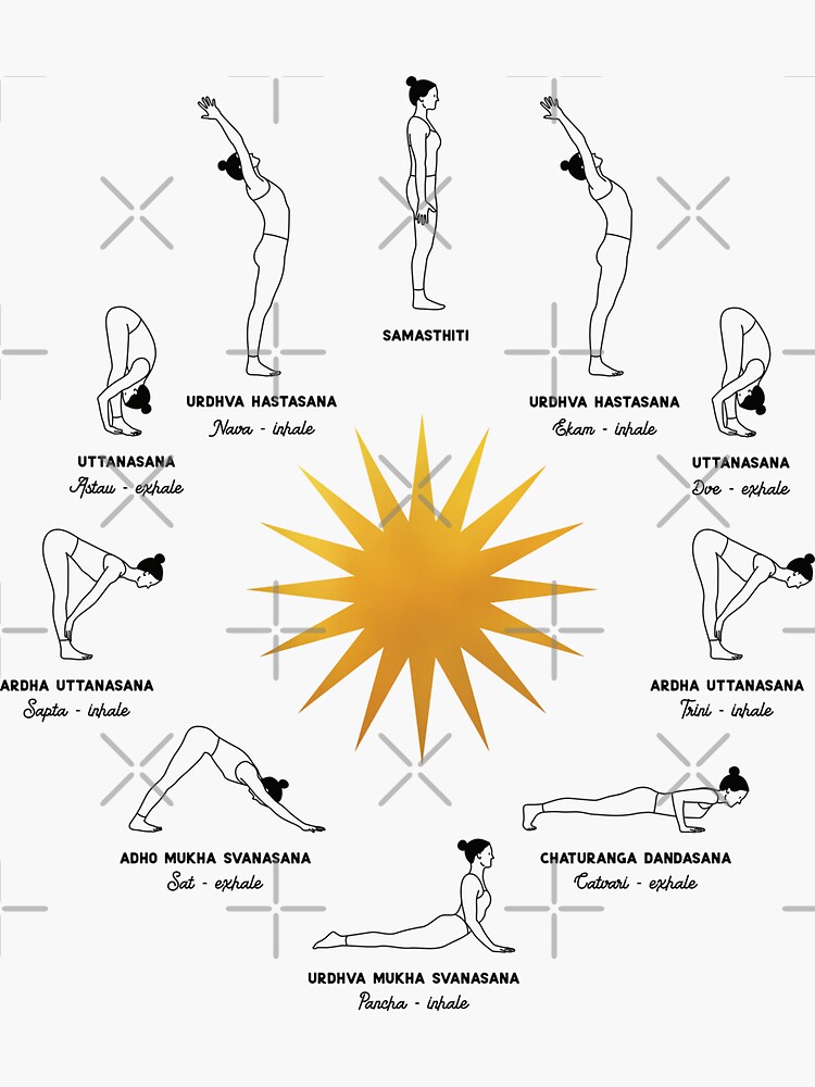 Sun Salutation Yoga Sequence  Ashtanga Yoga Pose Illustration
