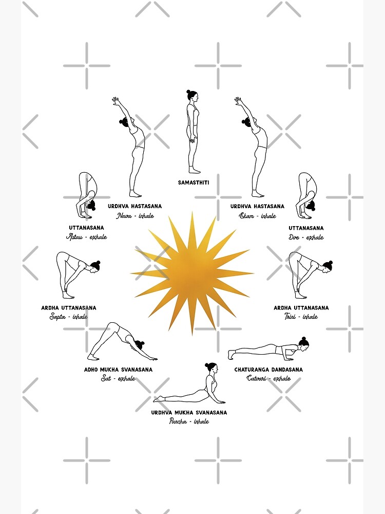 The Basics of Sun Salutation A and Sun Salutation B - YogaDigest.com