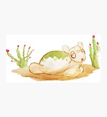 Numel Photographic Print