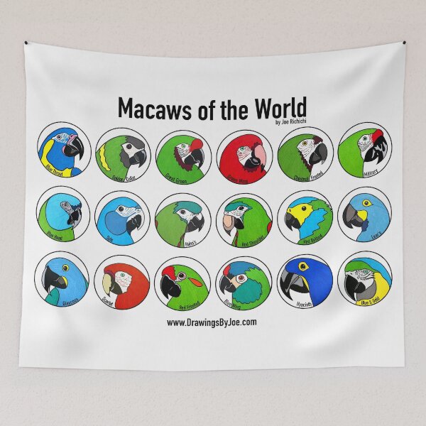 Item preview, Macaws of the World designed and sold by Joe Richichi.