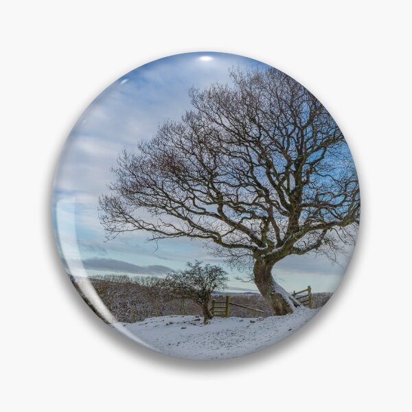 Artikelvorschau, Muggleswick-Baum entworfen und verkauft von Reg-K-Atkinson.
