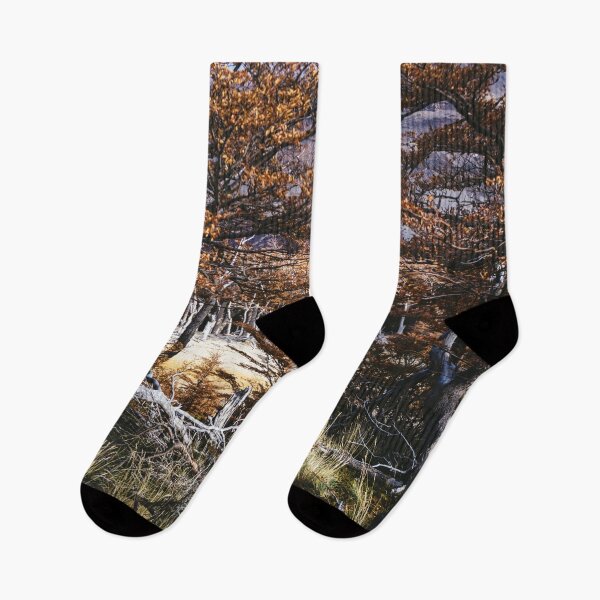Item preview, Fall in Patagonia, Argentina designed and sold by Carrie Lyman Photography.