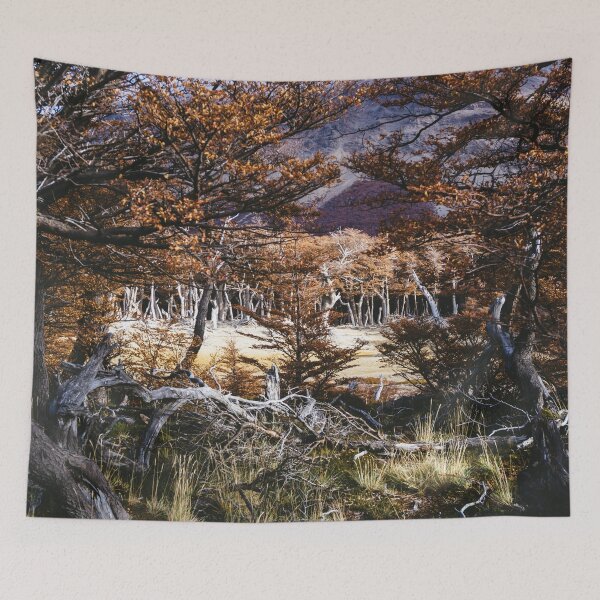 Item preview, Fall in Patagonia, Argentina designed and sold by Carrie Lyman Photography.