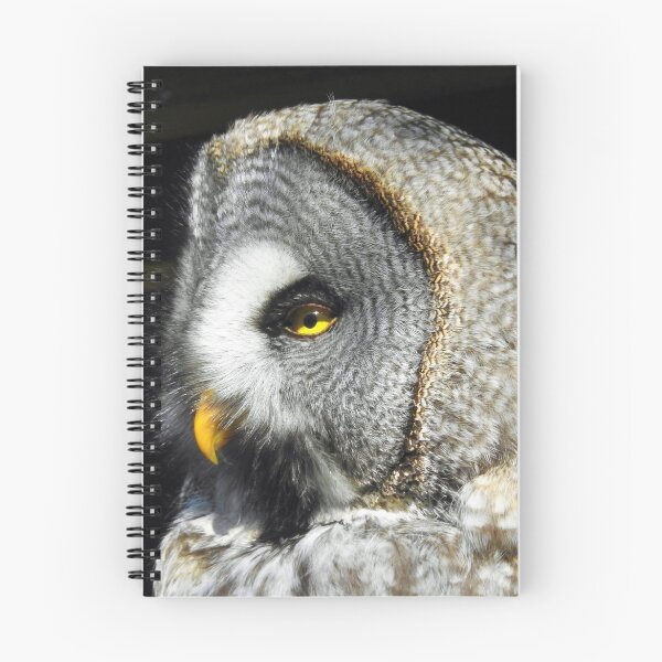 Item preview, Owl  designed and sold by StudioCorvid.