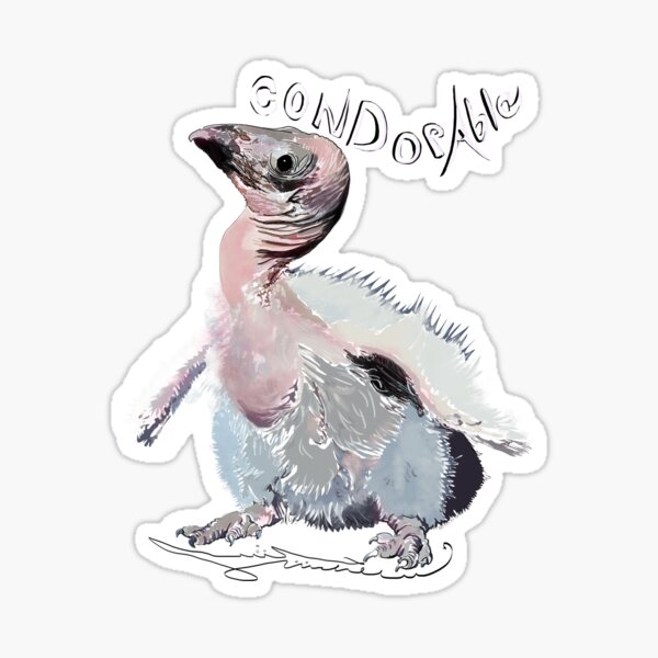 California Condor, Gymnogyps californianus Sticker