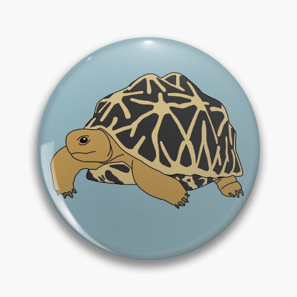 Item preview, Indian Star Tortoise designed and sold by taylorrowan.