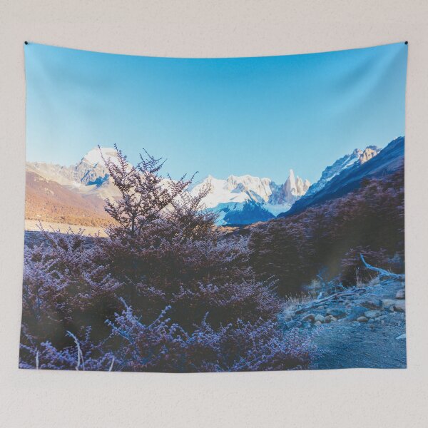 Item preview, Hiking to Laguna Torre, Patagonia, Argentina designed and sold by Carrie Lyman Photography.