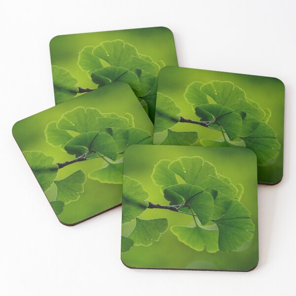 Item preview, Gingko Leaves - Ginkgo Biloba Japan designed and sold by Fruitsome.