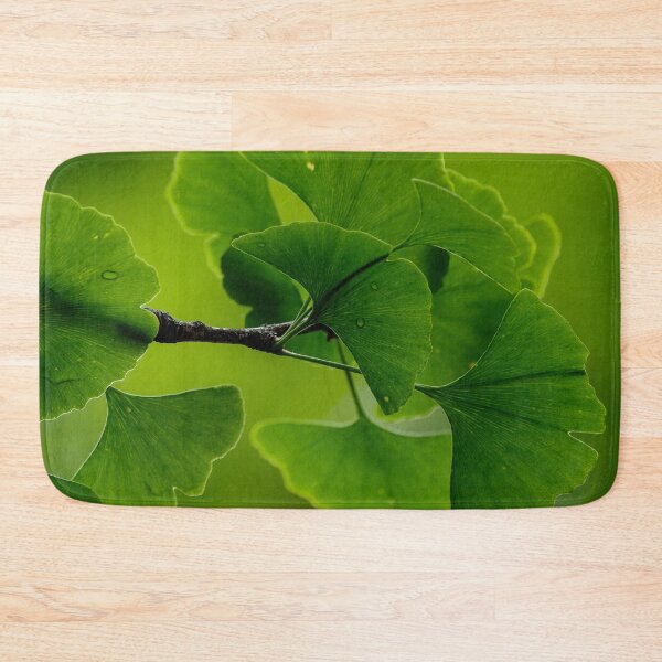 Item preview, Gingko Leaves - Ginkgo Biloba Japan designed and sold by Fruitsome.