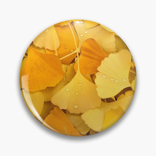Item preview, Yellow Gingko Leaves - Biloba Leaf - Chinese Medicine designed and sold by Fruitsome.