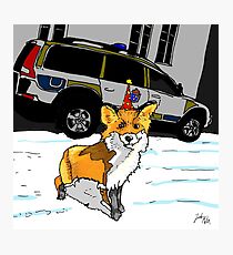 Fox n cops Photographic Print