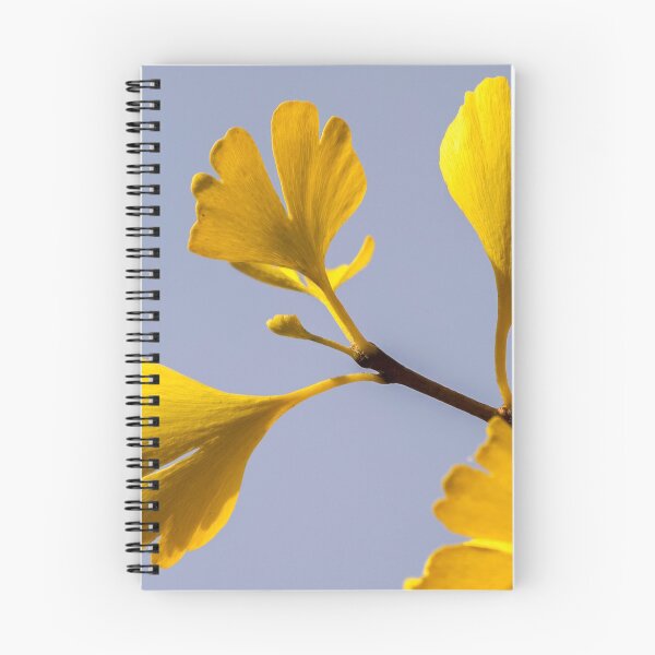 Item preview, Yellow Gingko Biloba Leaf - Chinese Medicine designed and sold by Fruitsome.