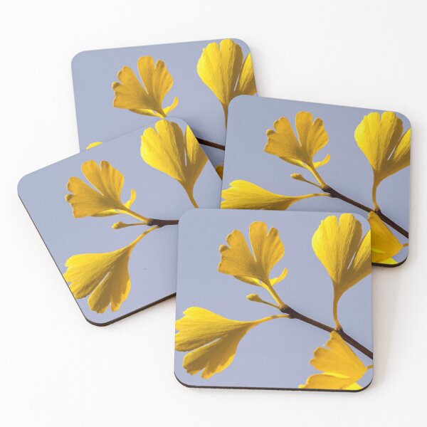 Item preview, Yellow Gingko Biloba Leaf - Chinese Medicine designed and sold by Fruitsome.