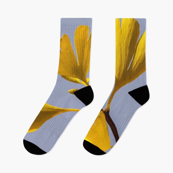 Item preview, Yellow Gingko Biloba Leaf - Chinese Medicine designed and sold by Fruitsome.