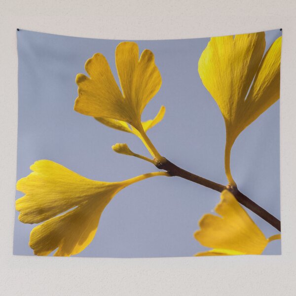 Item preview, Yellow Gingko Biloba Leaf - Chinese Medicine designed and sold by Fruitsome.