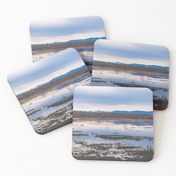 Item preview, Flamingoes on El Calafate, Patagonia, Argentina 2 designed and sold by Carrie Lyman Photography.