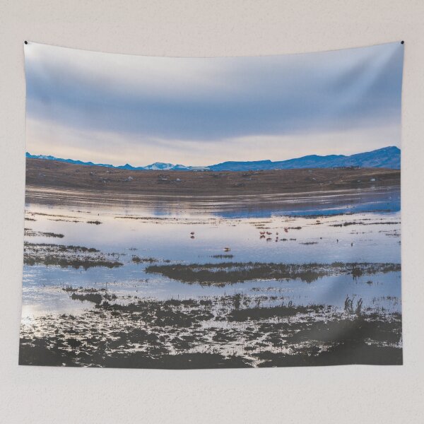 Item preview, Flamingoes on El Calafate, Patagonia, Argentina 2 designed and sold by Carrie Lyman Photography.