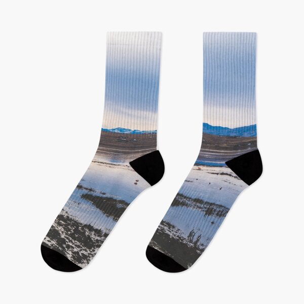Item preview, Flamingoes on El Calafate, Patagonia, Argentina 2 designed and sold by Carrie Lyman Photography.