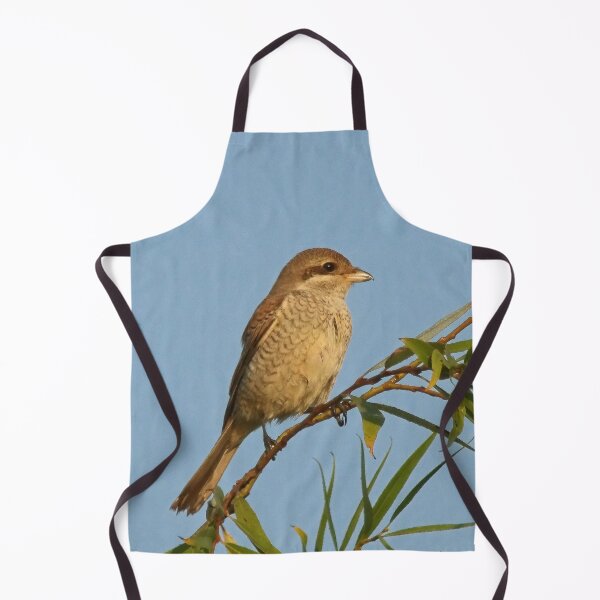 Item preview, Butcher bird designed and sold by Guardi71.