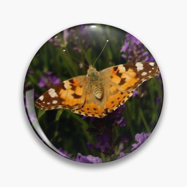 Item preview, Butterfly 2 designed and sold by Guardi71.