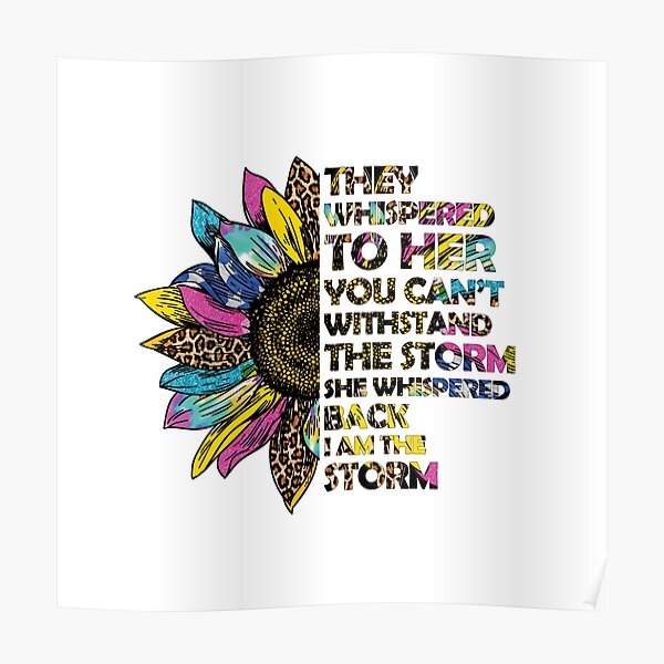 I Am The Storm Wall Art Redbubble