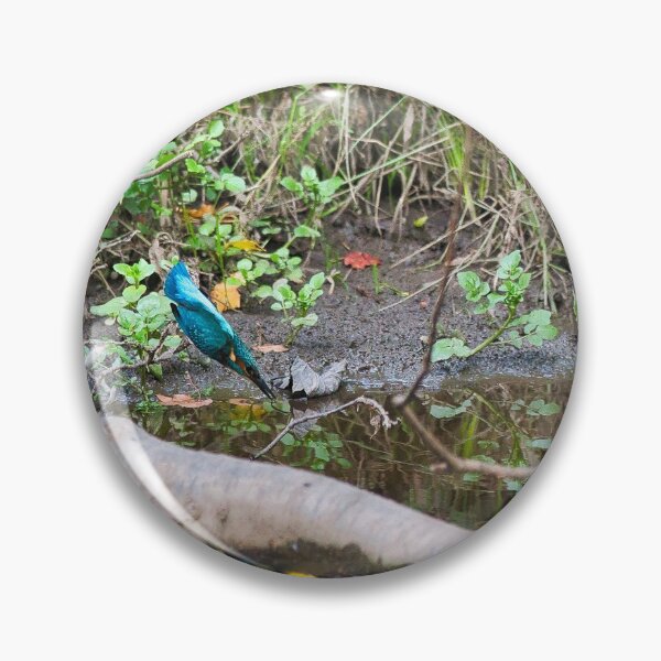 Item preview, Kingfisher diving to catch a fish. designed and sold by RobinDHunter.