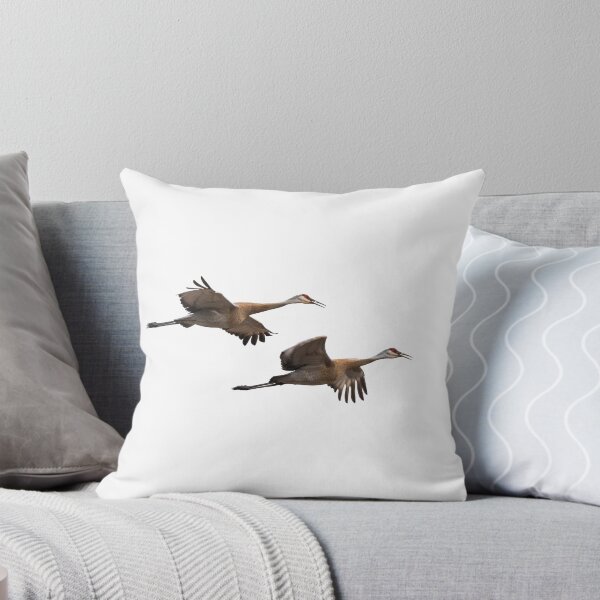 Aperçu de l'œuvre Isolated Sandhill Cranes 2016-1 créée et vendue par Thomasyoung.