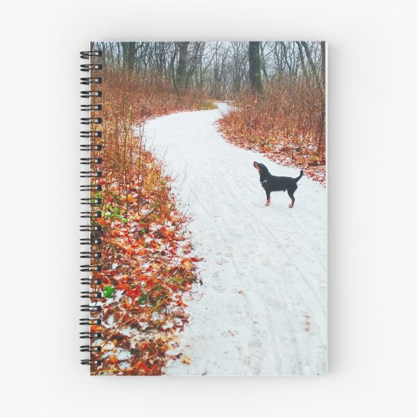 Item preview, Snowy way through a bright forest designed and sold by helenkaiy.