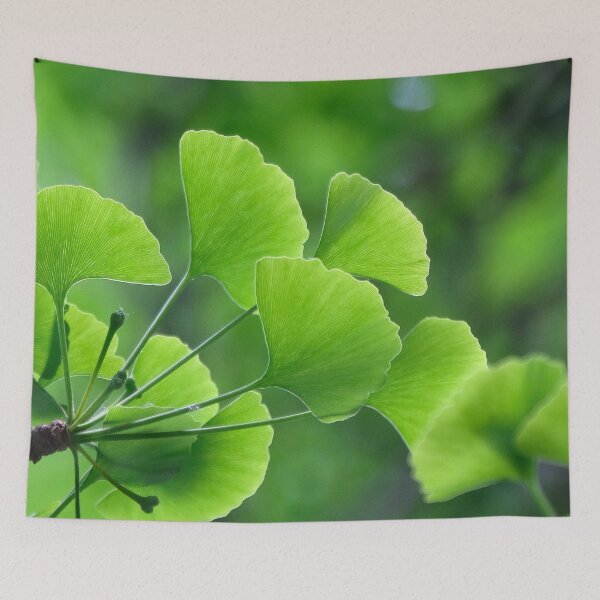 Item preview, Gingko Biloba Green Leaf designed and sold by Fruitsome.