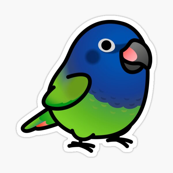 Aperçu de l'œuvre Perroquet Pionus à tête bleue joufflu créée et vendue par birdhism.
