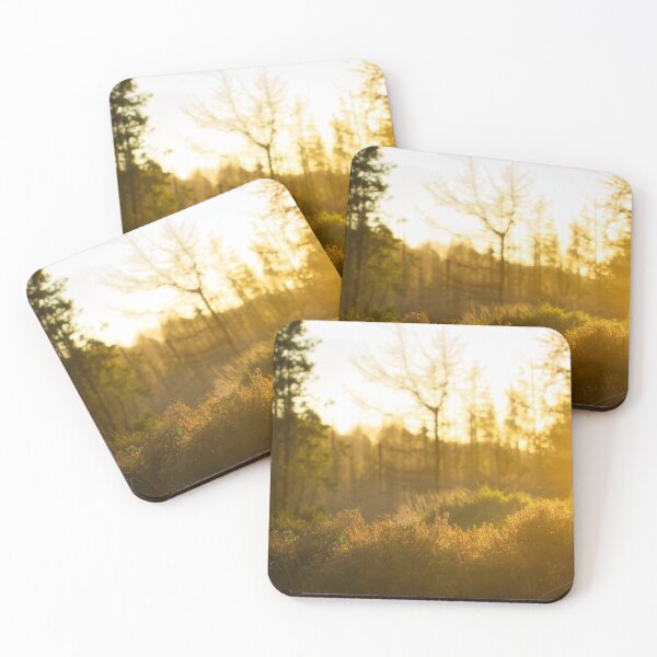 Item preview, Golden Sun in Woods, Carlingford, Ireland designed and sold by Marcin W Photography.