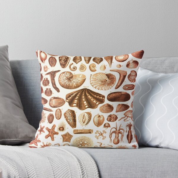 Item preview, Shells and Starfish Study designed and sold by KrossKiwi.