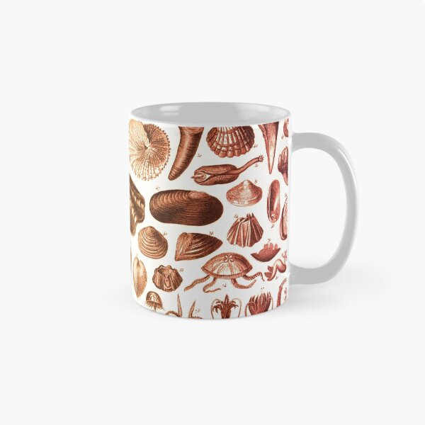 Item preview, Shells and Starfish Study designed and sold by KrossKiwi.