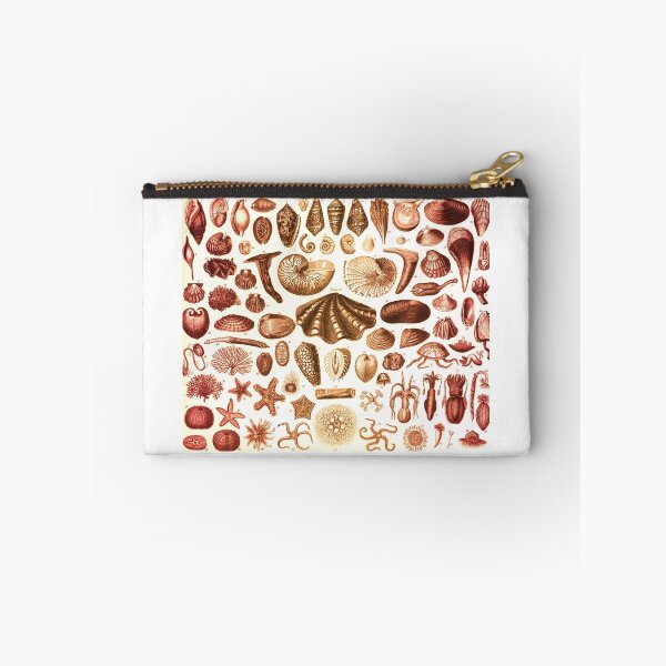 Item preview, Shells and Starfish Study designed and sold by KrossKiwi.