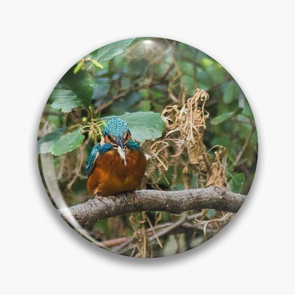 Item preview, Kingfisher having a snack. designed and sold by RobinDHunter.