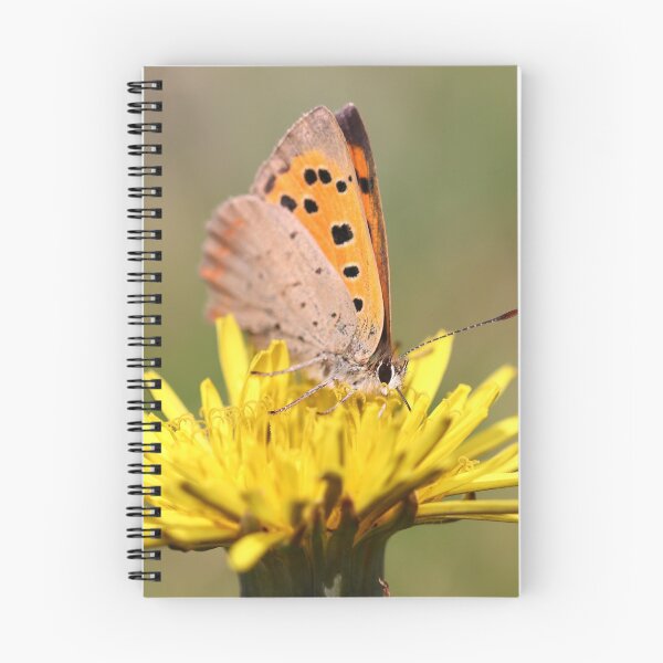 Item preview, Small copper butterfly designed and sold by GreyFeatherPhot.