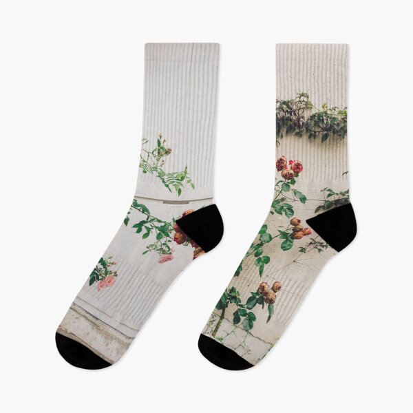 Item preview, Roses in Giverny, France Monet's Garden designed and sold by Carrie Lyman Photography.