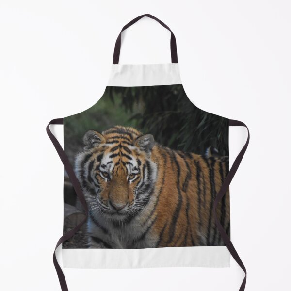 Item preview, Amur tiger designed and sold by cdkphotos.