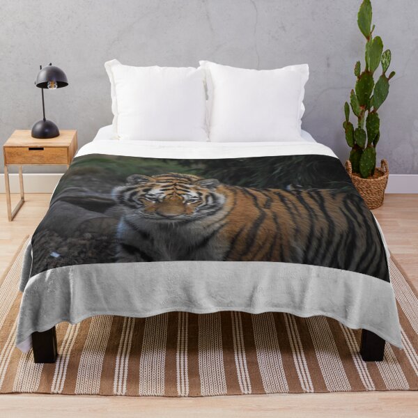 Item preview, Amur tiger designed and sold by cdkphotos.