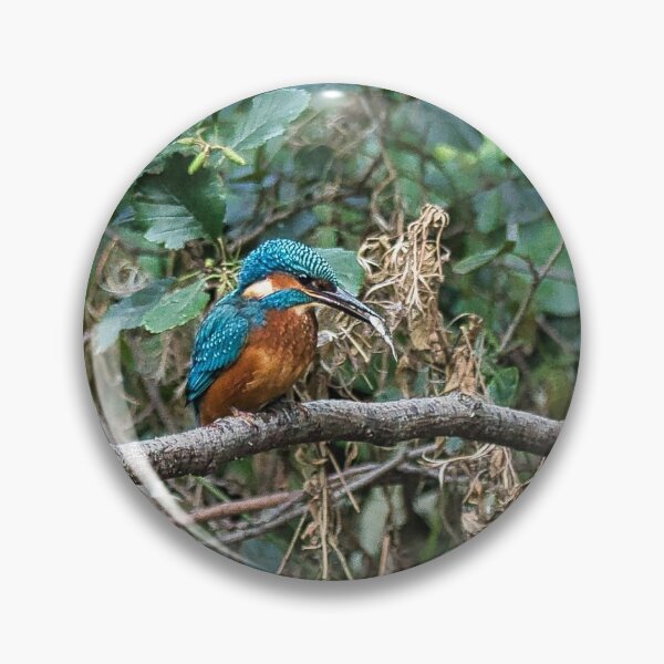 Item preview, Kingfisher having lunch designed and sold by RobinDHunter.