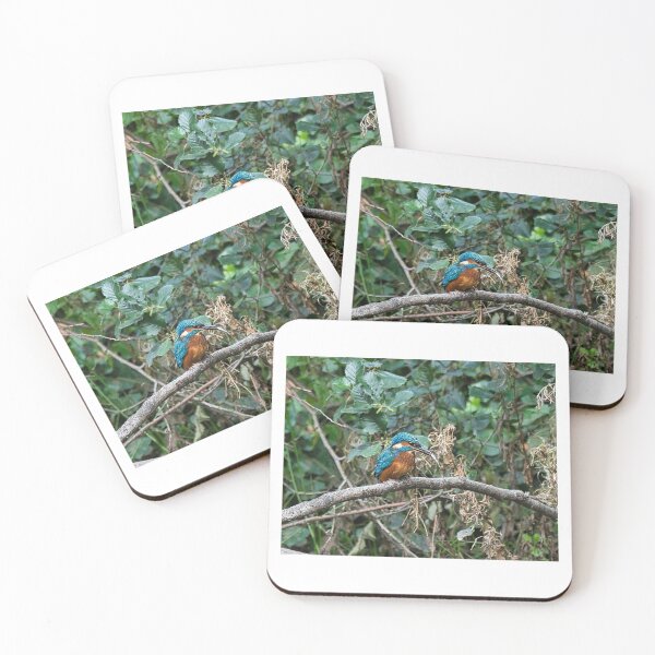 Item preview, Kingfisher having lunch designed and sold by RobinDHunter.