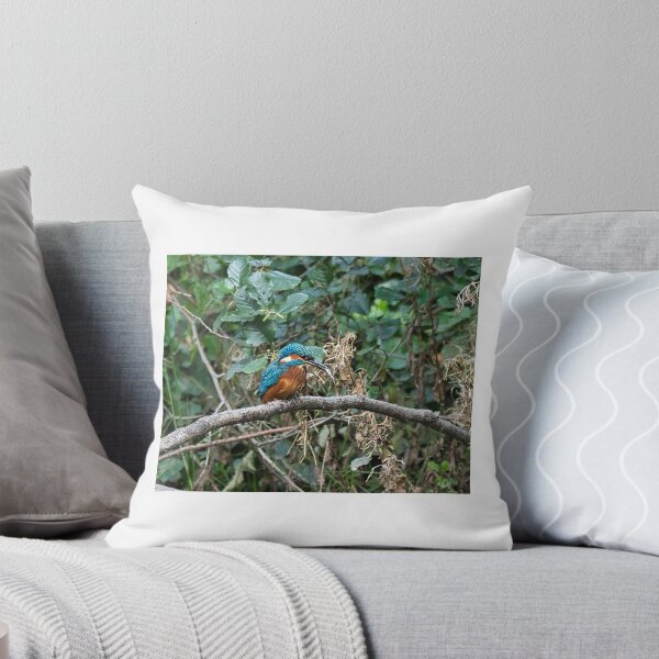 Item preview, Kingfisher having lunch designed and sold by RobinDHunter.