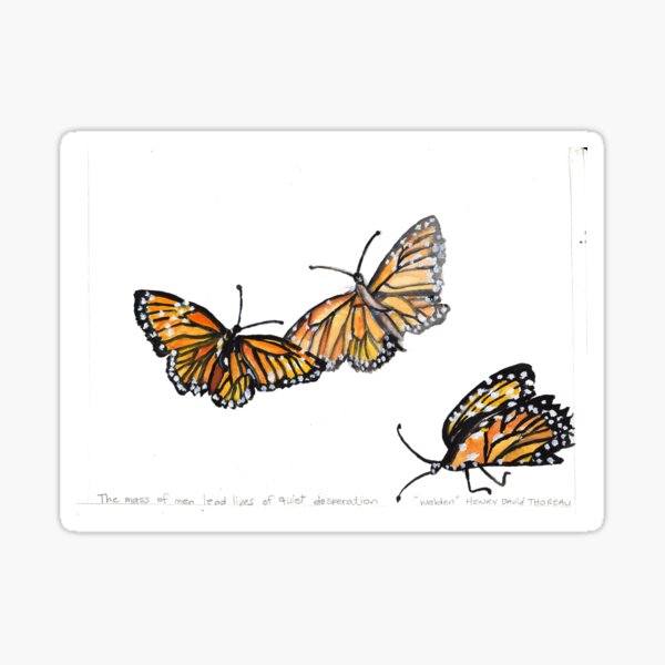 Butterflies Sticker
