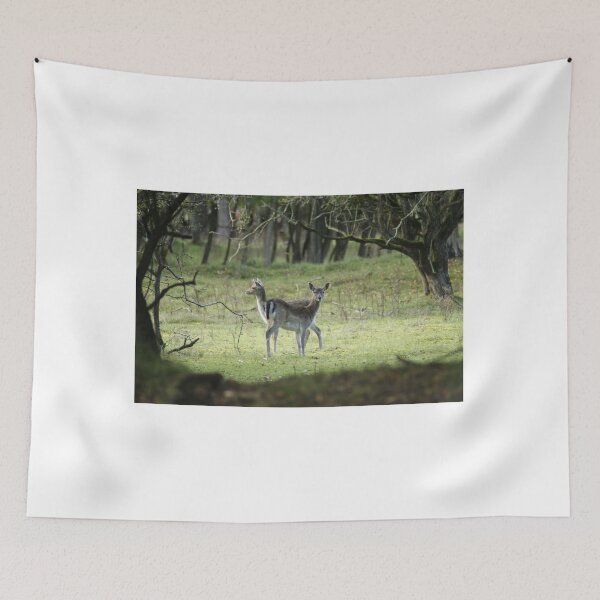 Item preview, Deer designed and sold by Gleeksily36.