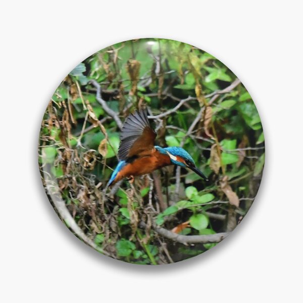 Item preview, Kingfisher hovering over the river looking for fish. designed and sold by RobinDHunter.
