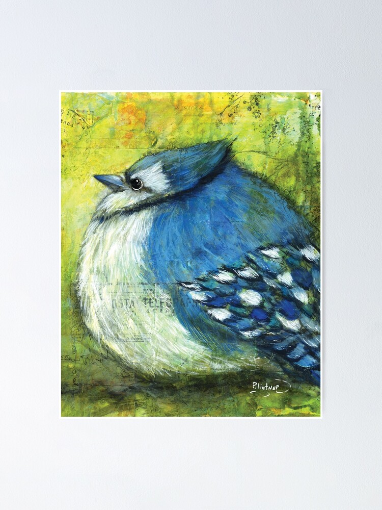 Bluejay Drawing Poster for Sale by corinthiansgirl